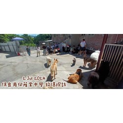 2 Jul 2024 保良局何蔭堂中學 狗場探訪